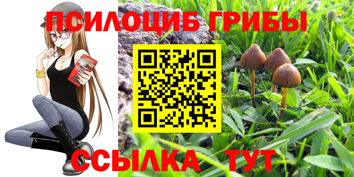 даркнет сайт  Галлюциногенные грибы ЛСД  Вход с VPN  Партизанск 